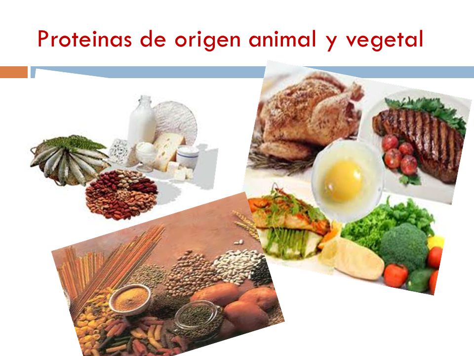 que man-child las proteinas de principio being y vegetal